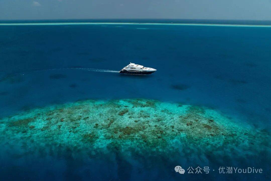 国庆早鸟 | 马代船宿 MY Felicity 北线8天7晚行程 2026.9.27-10.4_潜水_马尔代夫_Manta