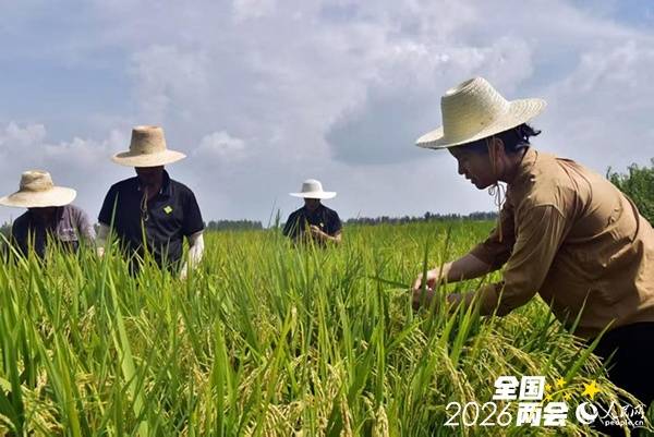 毕利霞代表:增加“新农人”福利待遇,吸引高校毕业生下沉基层_农业_人工智能_数字