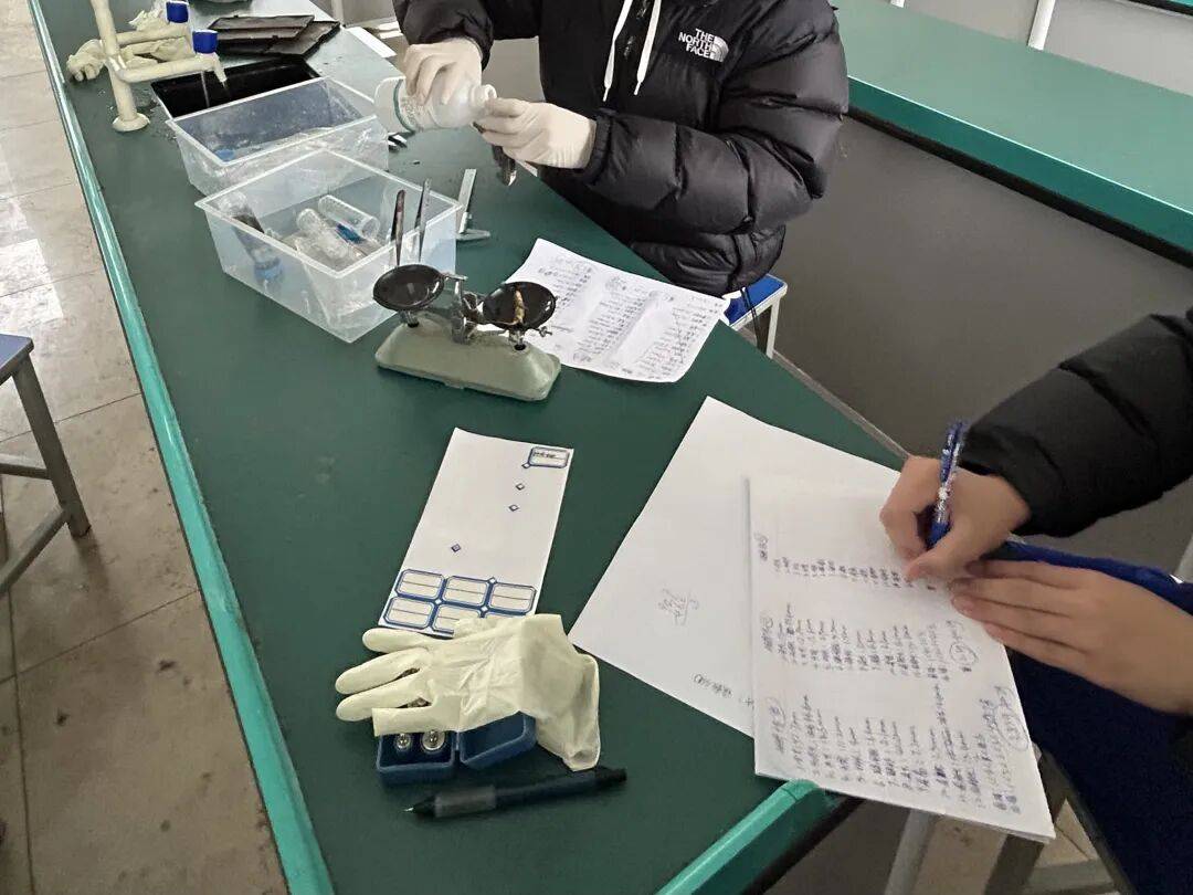 17岁高中生发现新物种括苍山脊蛇，与他人联合发文登上SCI，当事人回应：父母都是普通人，全凭热爱坚持