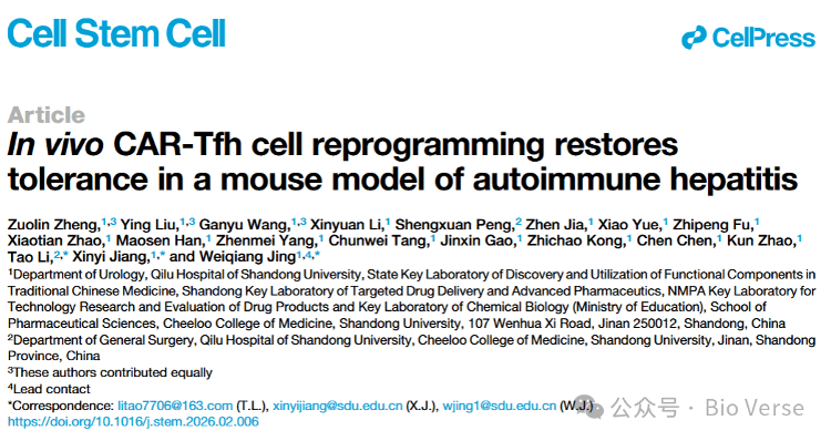 IF=20.4! 山东大学团队开发体内CAR-Tfh重编程策略，恢复自身免疫性肝炎免疫耐受