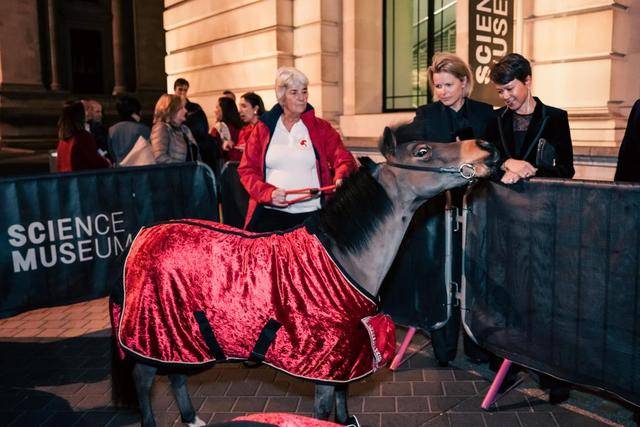 巨幕纪录电影《马到功成》在伦敦举行英国首映