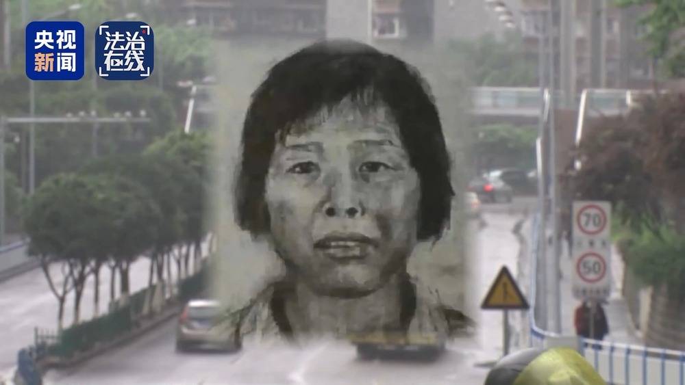 法治在线丨“梅姨”如何落网?何时公布照片?警方披露案件侦办细节