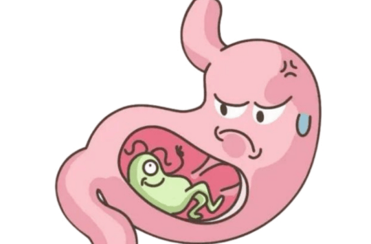 守护“胃”来，健康无“幽”——幽门螺杆菌科普指南