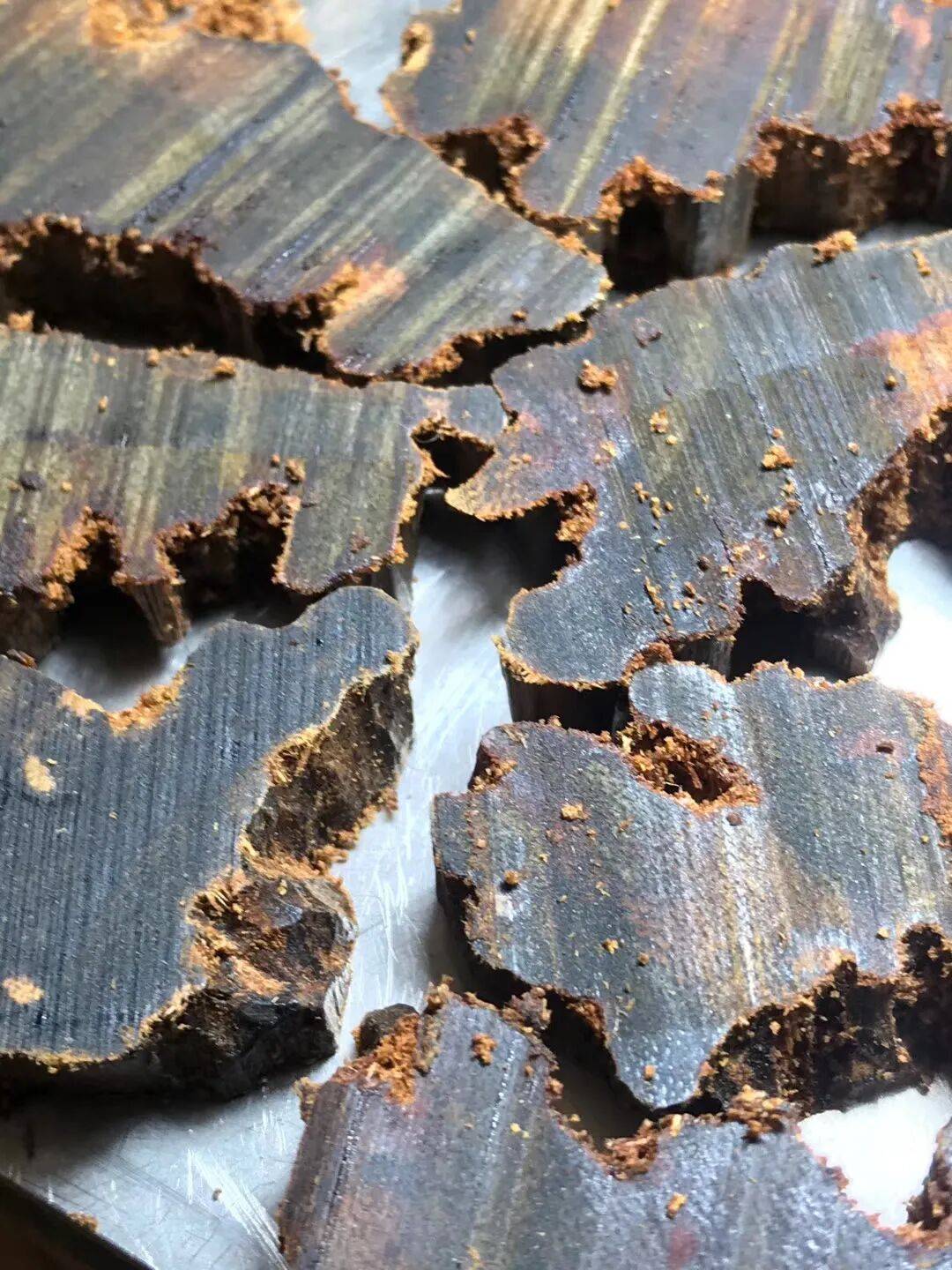万香之王诞生探秘沉香霸主奇楠的形成之谜