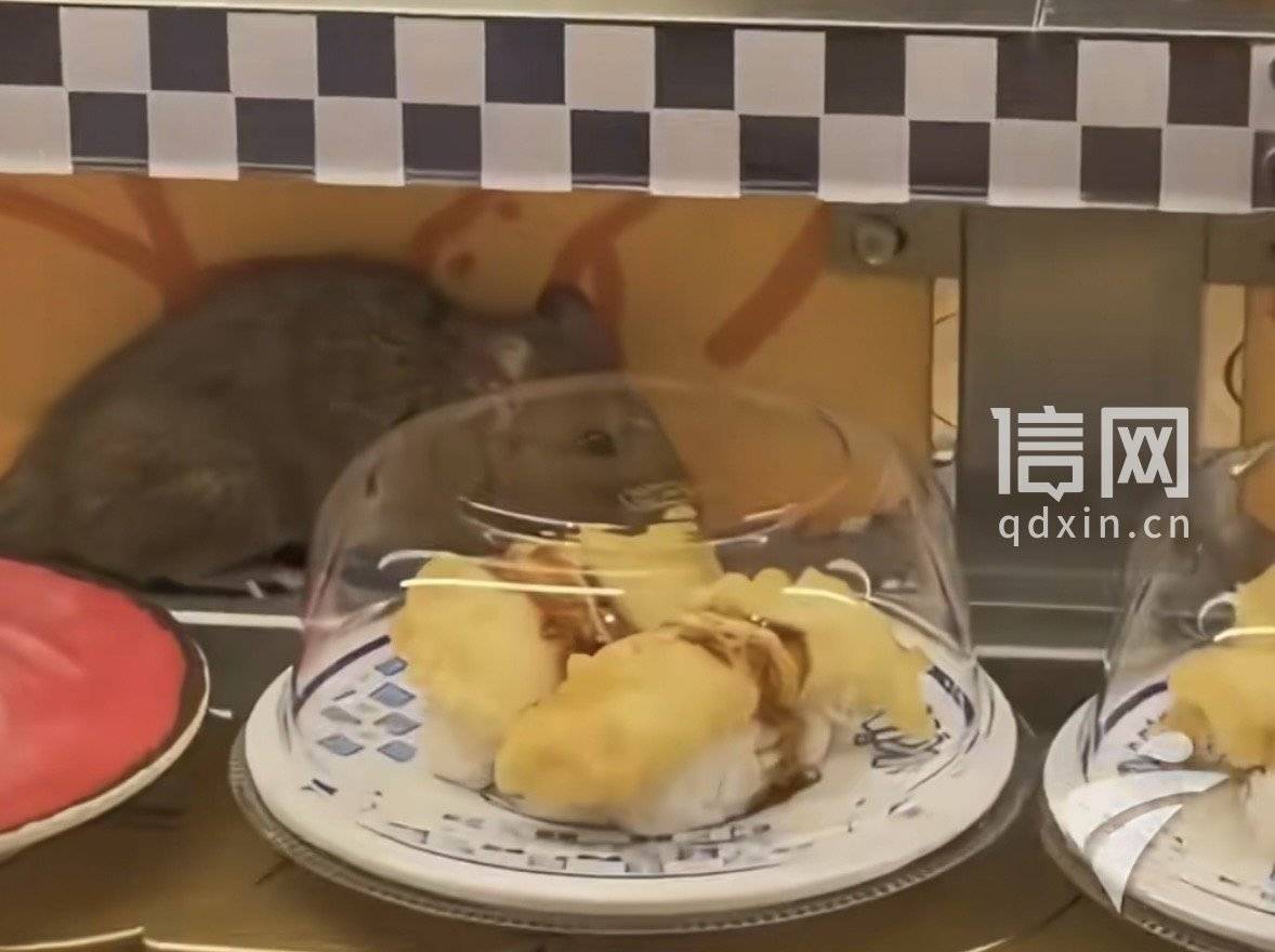 硕大老鼠从寿司旁快速蹿过:金匠寿司杭州宝龙城店停业整顿(图1)