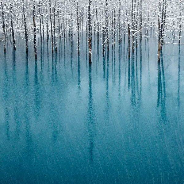 孔夫子和爱情_郑风_郑声_诗经