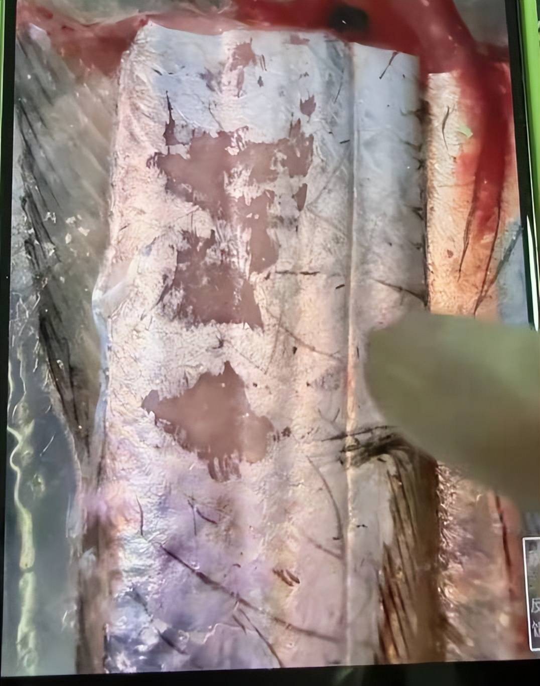 女子仅退款海鲜后续身份被扒是惯犯业户曝更多黑料果不简单