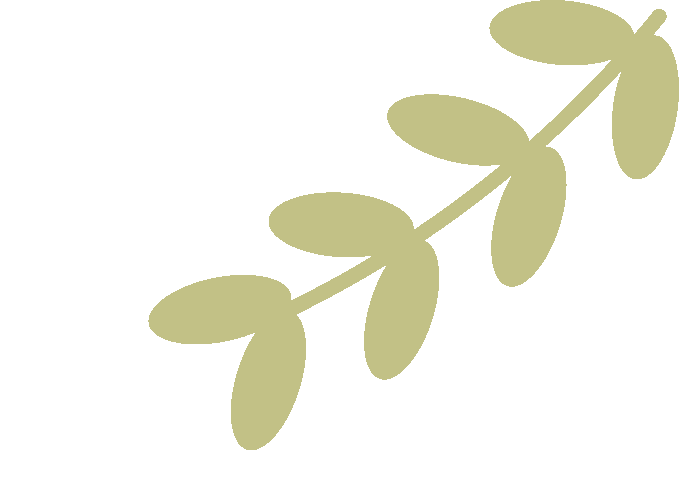 文章配图-13