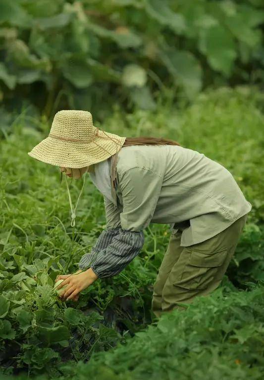 原创            难怪中国人都爱种菜！研究发现：这才是顶级养生，胜过吃药和旅游