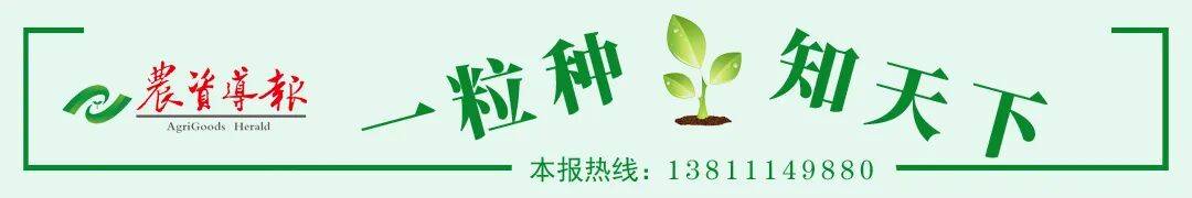 一省份发布种粮(制种)大户补贴实施方案!_种植_面积_农业
