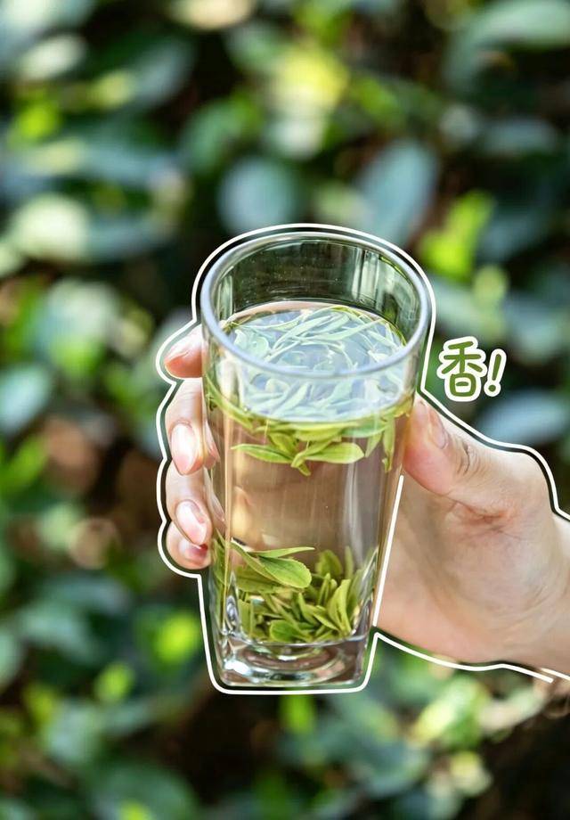 今天 请你喝杯茶