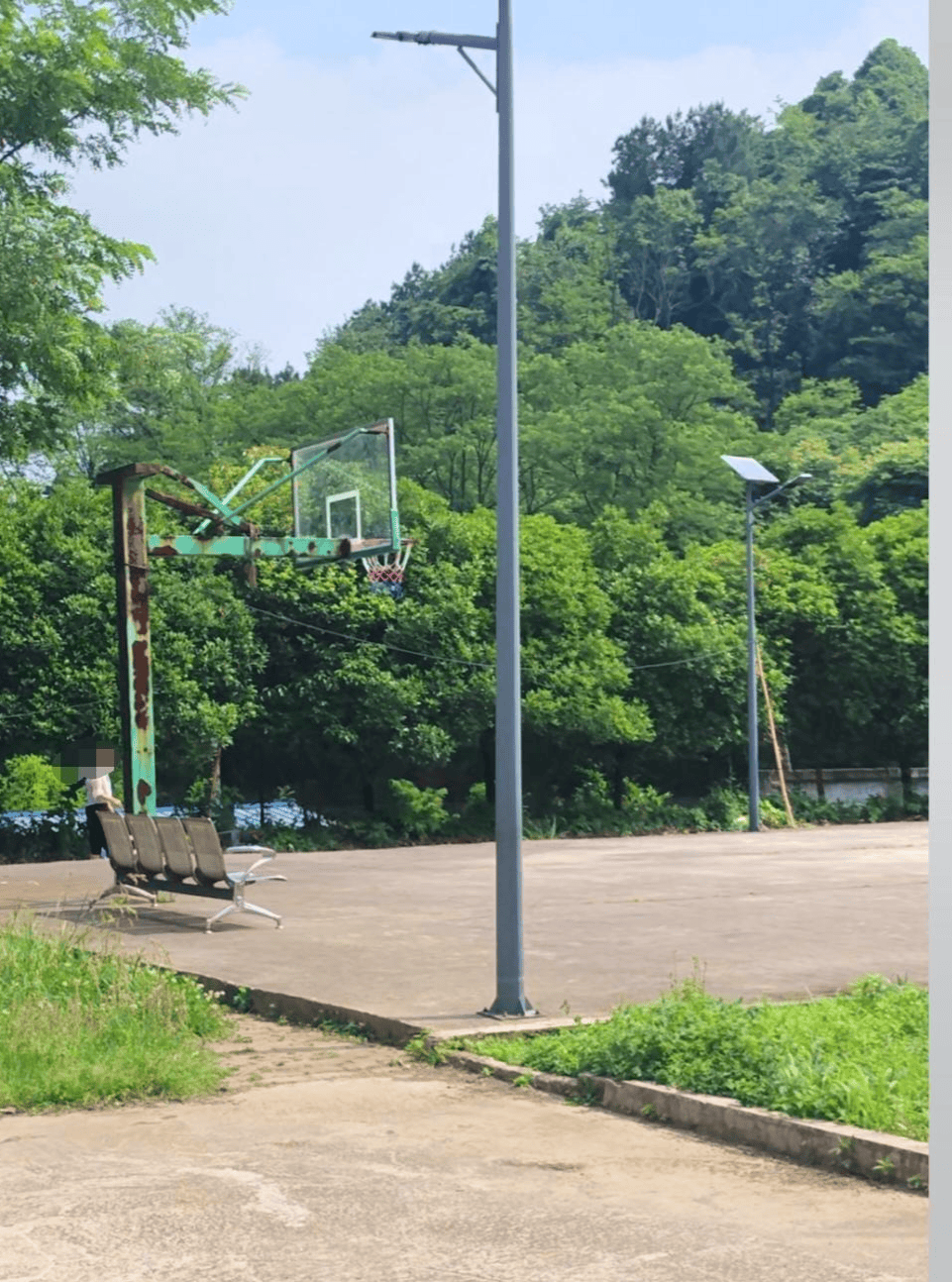 马匹冲入小区拖拽5岁女童致死，马主涉过失致人死亡被立案 母亲：多希望自己是超人，拉住那匹马