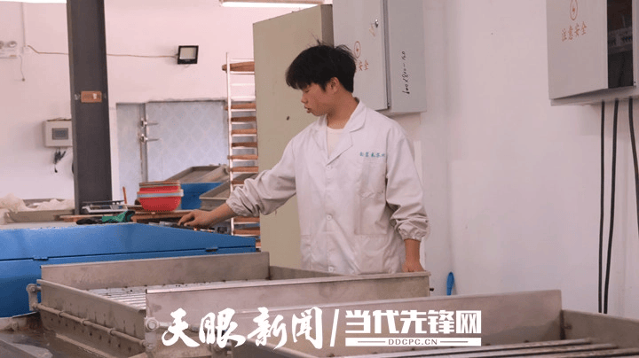 初夏“碾茶”加工忙 梵净抹茶香四方 ——铜仁抹茶特色产业高质量发展一线观察