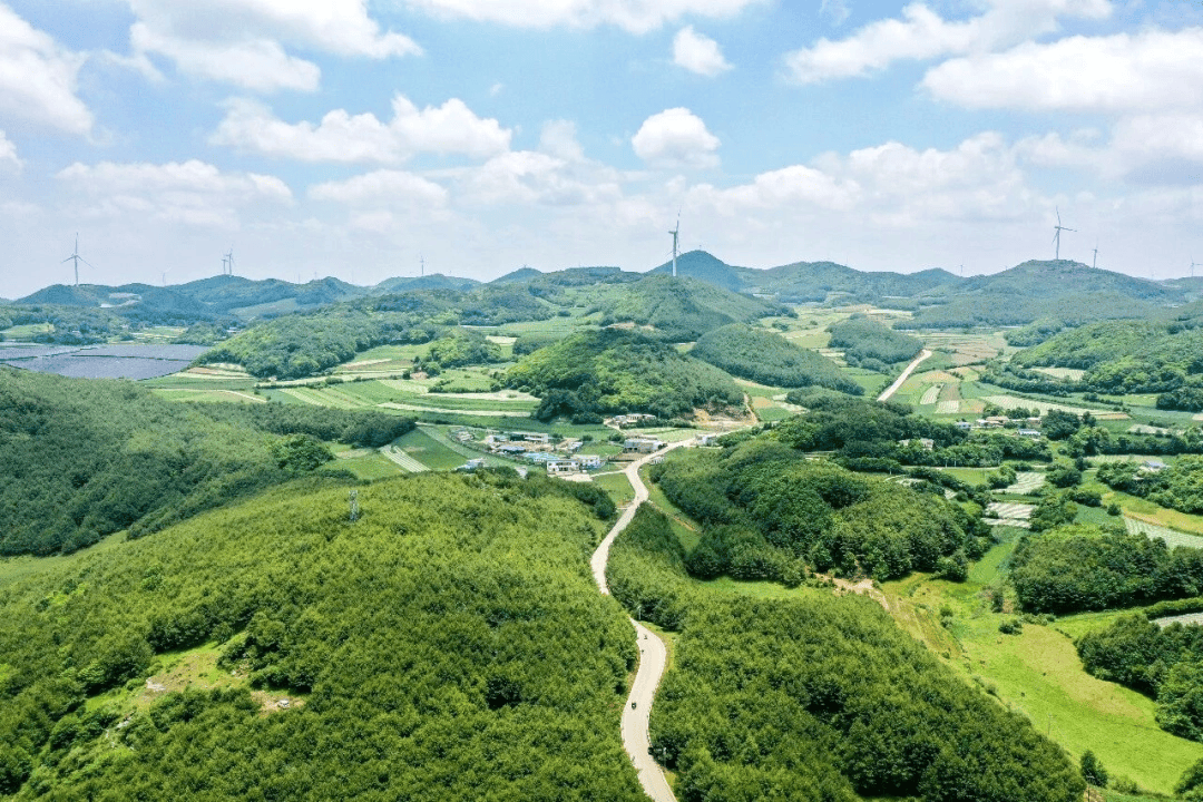 威宁雪山镇：林下平菇种植忙