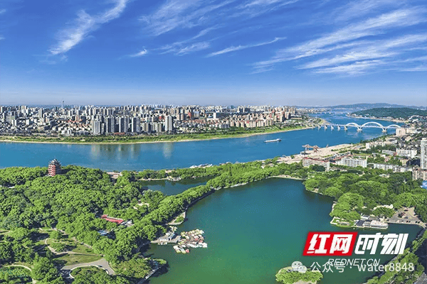 文章配图-10