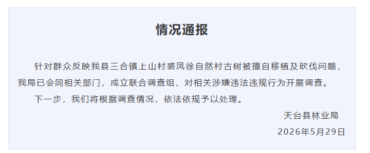 600年古树被指为省重点工程让路后死亡，当地通报：已成立联合调查组，将依法依规处理