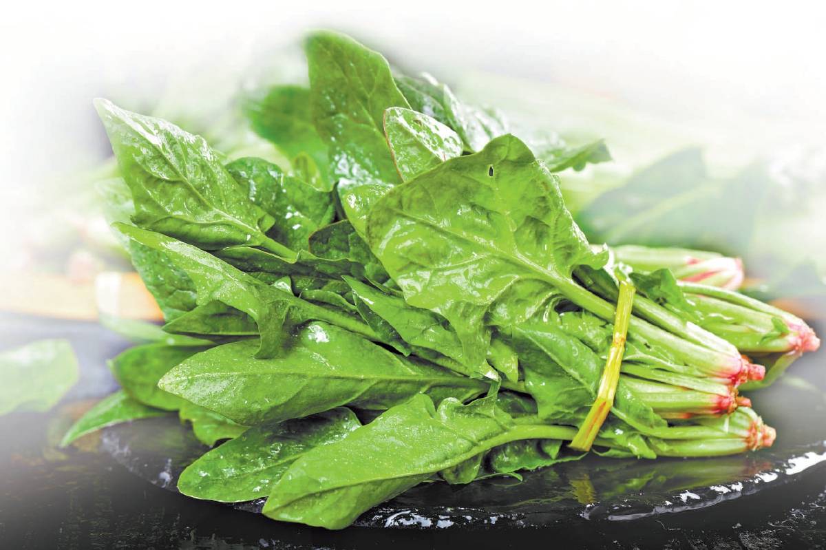 菠菜 曾贵为贡品的波斯菜