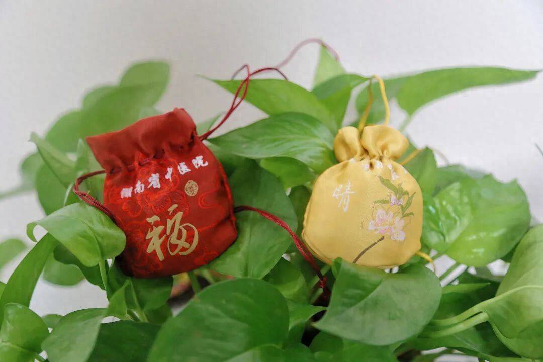 总被蚊子叮？中医防蚊有“凉方”