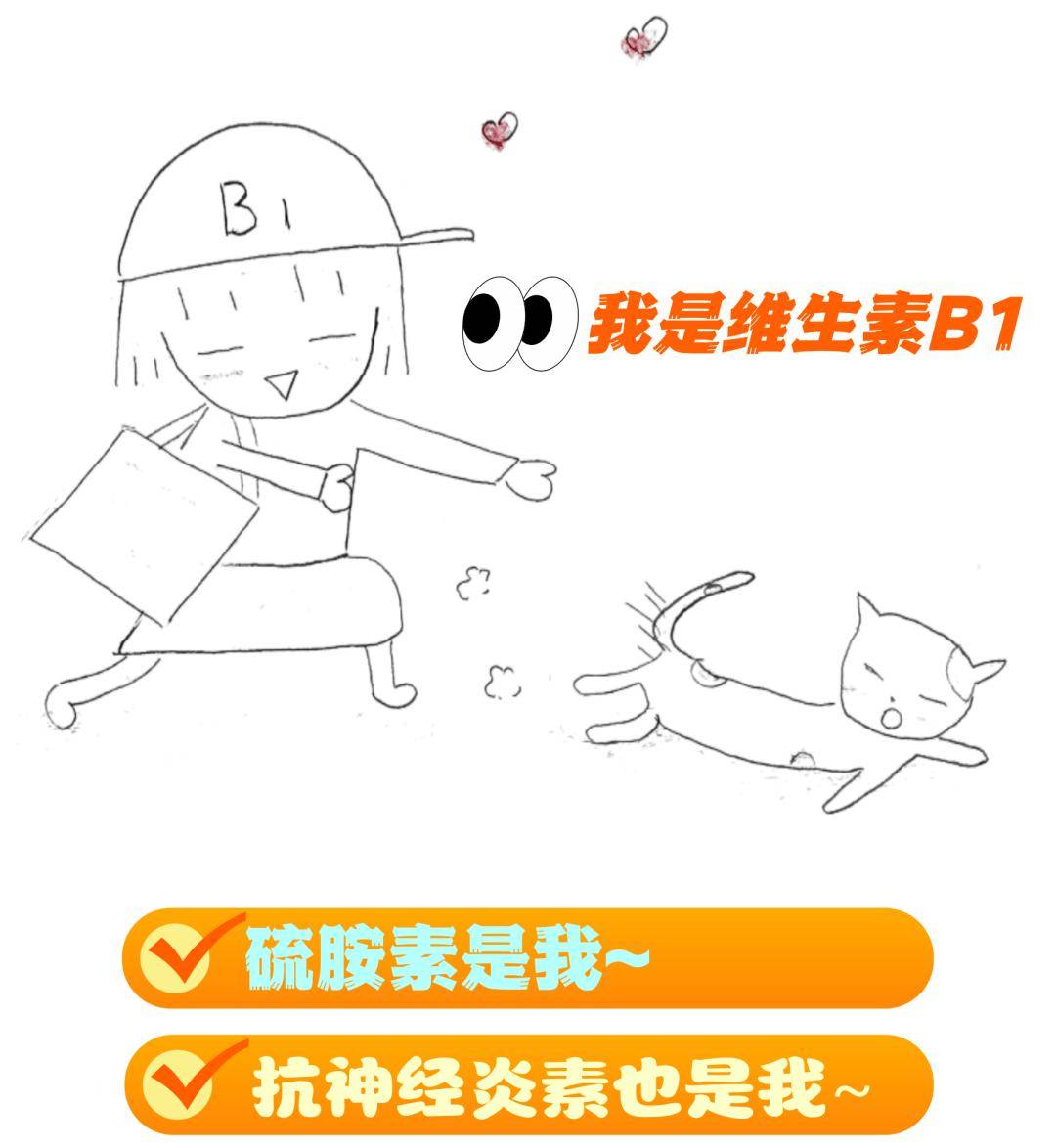 【营养师图说】营养素—维生素B1