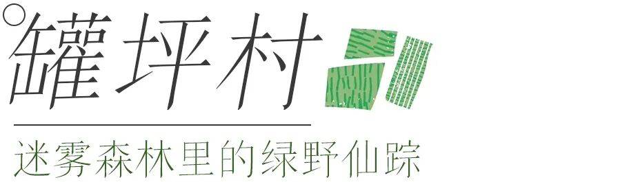 森林、瀑布、茶山，带娃去这3个藏在洪雅深山的村落耍