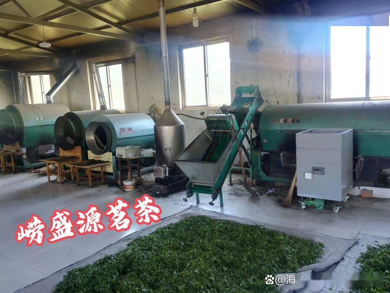 崂山绿茶老百姓非常认可信赖的品牌之崂盛源茗茶茶农直销正宗好喝