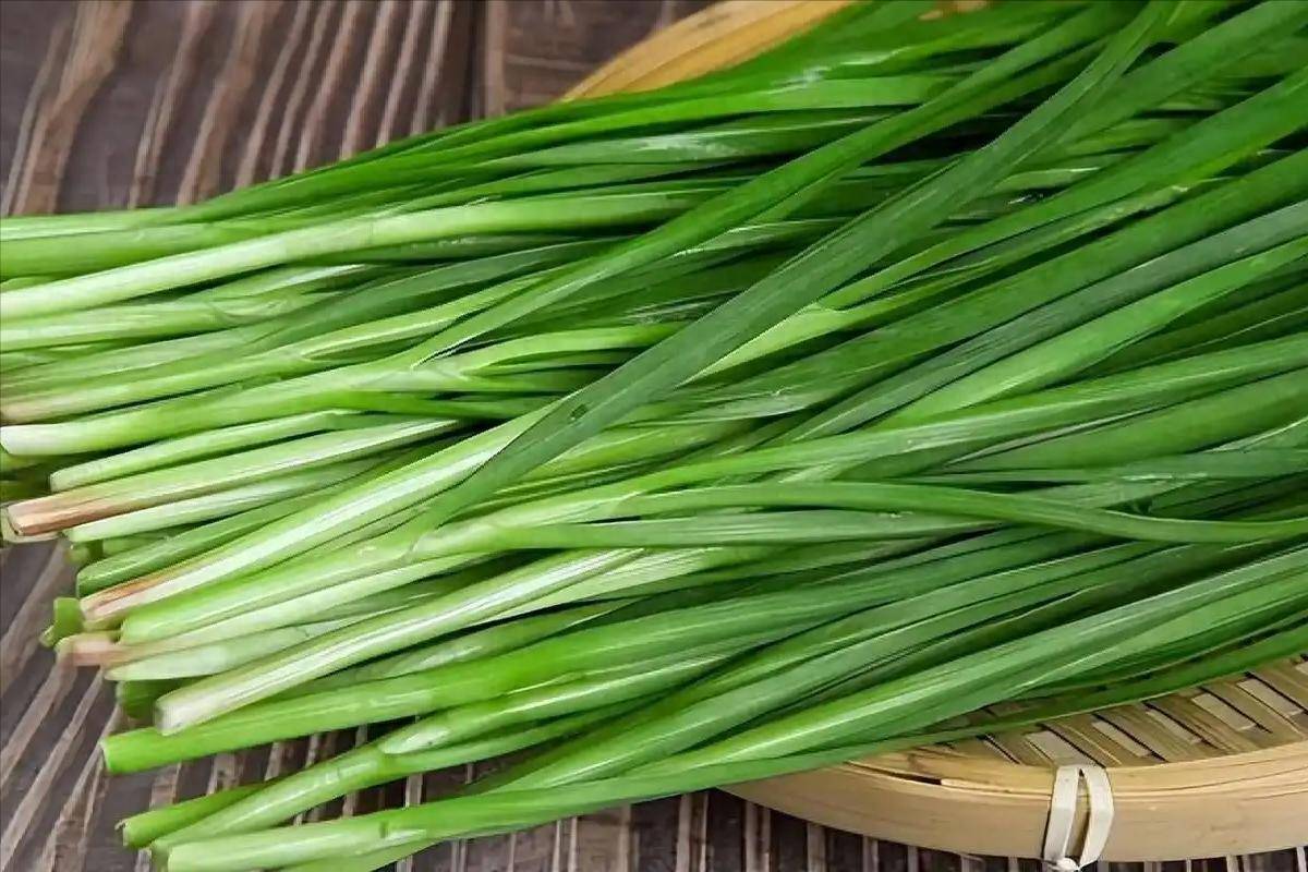 原创            韭菜被低估？医生发现：糖友多吃，不出半年，或有4个好处