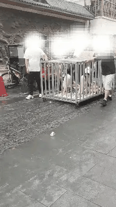 湖南女子浸猪笼后续！知情人透露线人全部被抓