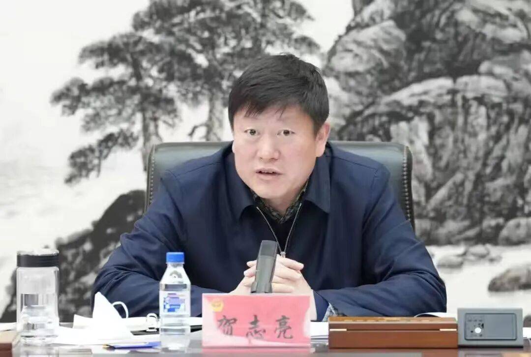 打虎！贺志亮被查