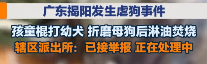 愤怒！4名学生棍棒击打、泼汽油活烧狗妈妈，还拍视频上传网络炫耀...