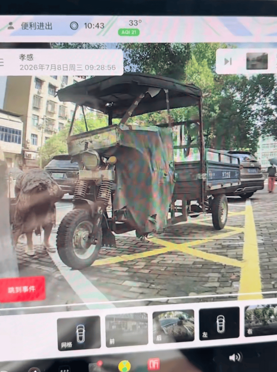 湖北一车主称其车载监控拍到一女子从药店出来，在其车轮下偷放几颗钉子；车主：车辆停放车位内，未妨碍行人通行以及商户经营；警方已介入