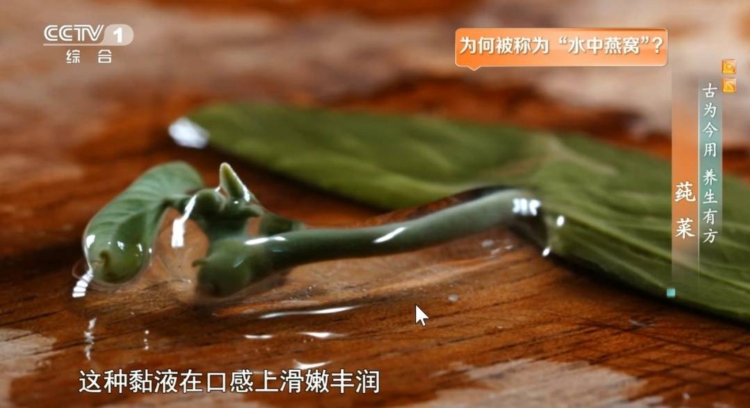 夏日脾胃差、容易上火？试试这碗平价滋补“燕窝”，常吃清热护胃、延缓衰老