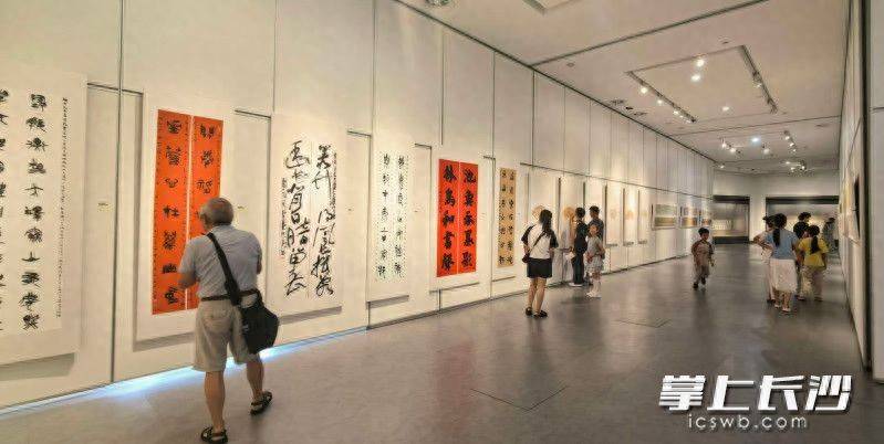 书法展也“内卷”？长沙这场展览反其道而行：不要“巨幅”要“小品”