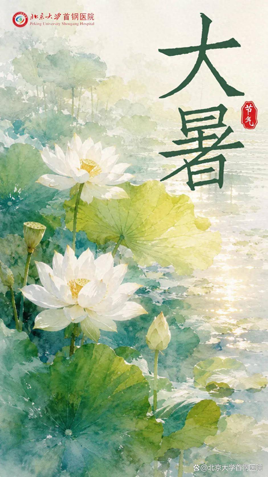 【24节气健康说】大暑正伏天，养生重点快收藏→