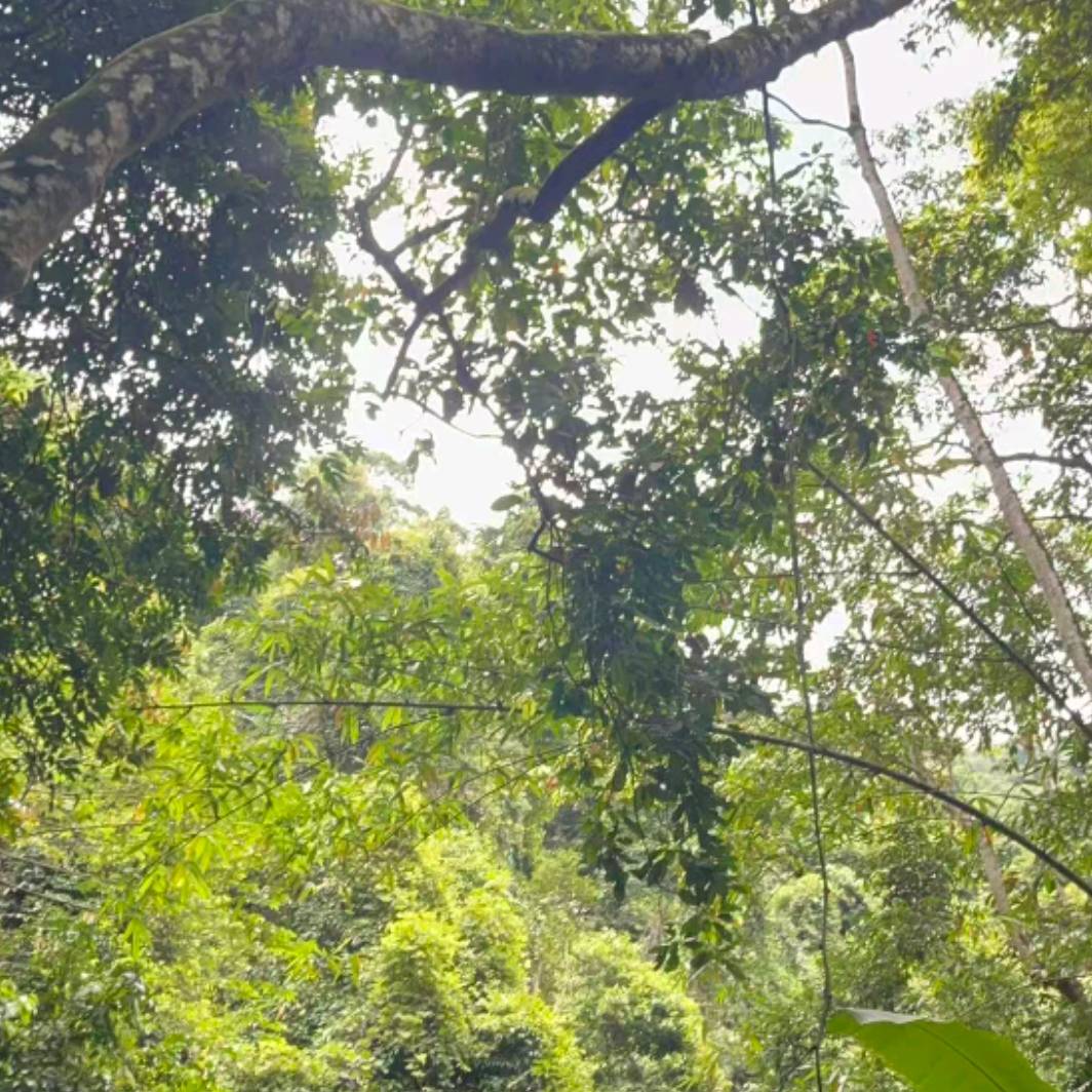 【完结阅读+结局】《困于无爱之地》林知序陆砚辞顾承湛沈知妤_孩子_时候_什么