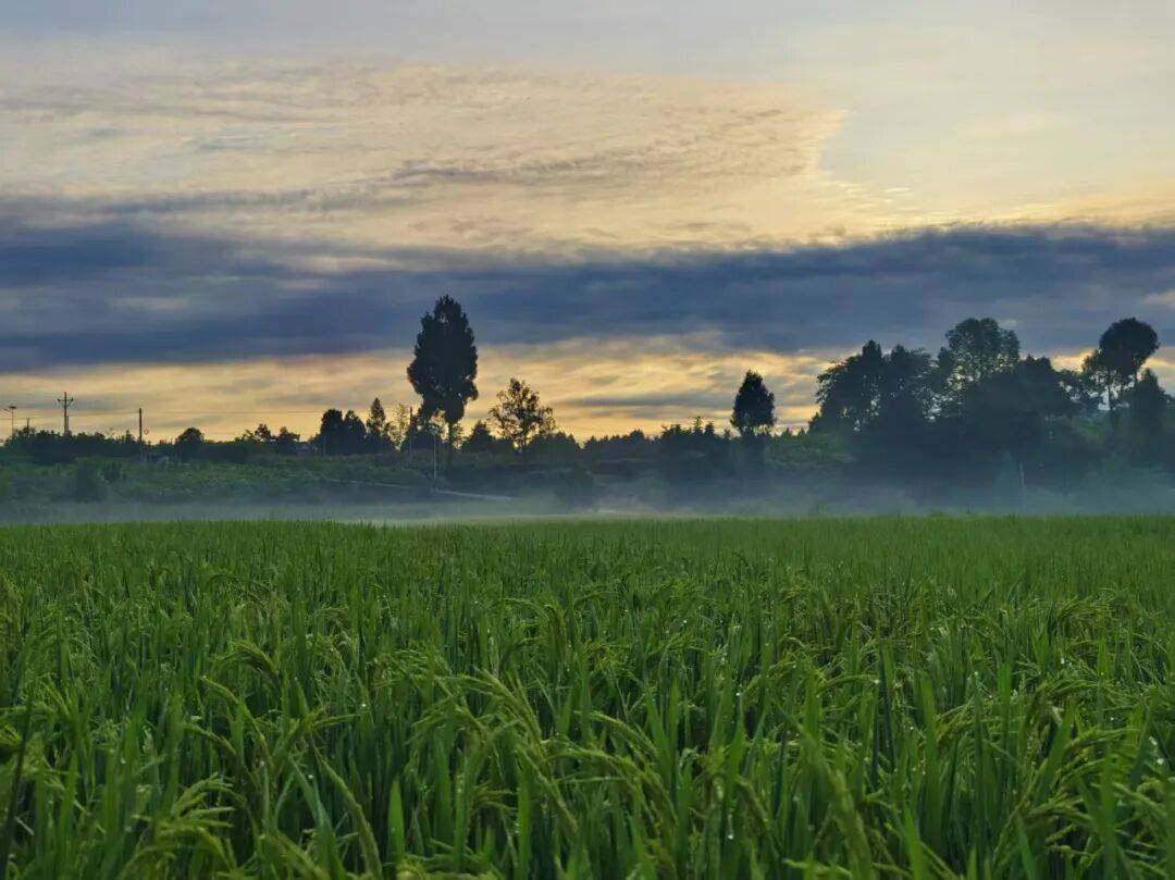 ������ͼ-1