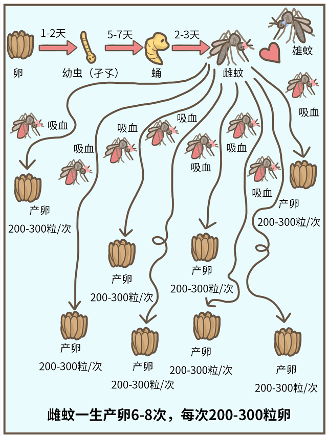 广东疾控发布防蚊提醒