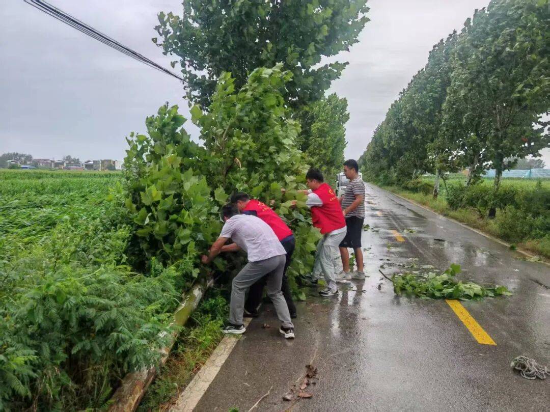 【志愿服务】我市广大志愿者筑起防汛“暖心堤”_蚌埠_应急_社区