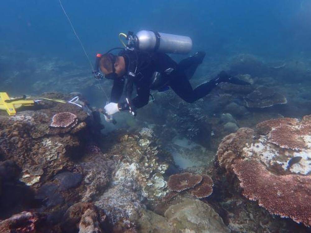 去年，我国南海区海洋生态状况总体稳定，岛礁生态系统状况首次集中发布