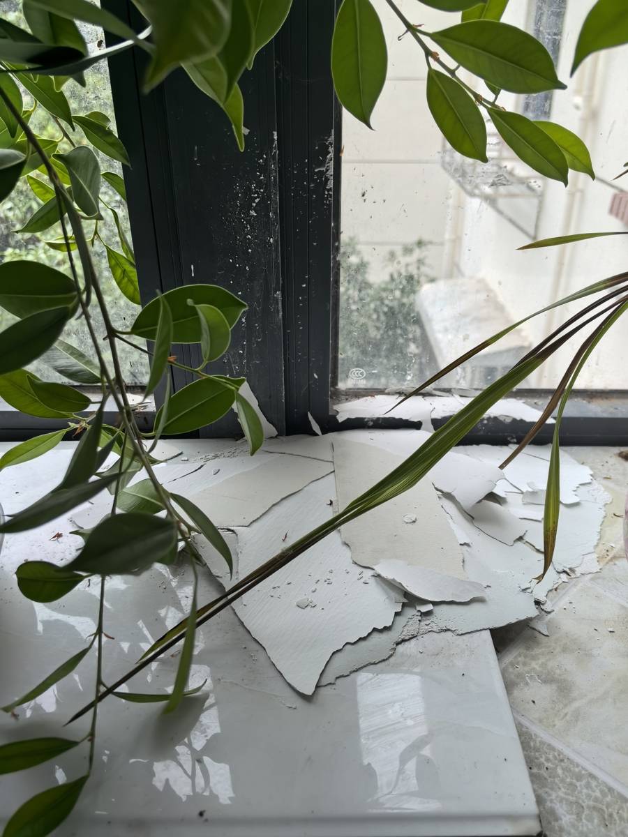 “漏成‘水帘洞’!”沪上居民楼加装电梯刚满两年,暴雨来袭引发“安全之忧”_小区_台风_施工