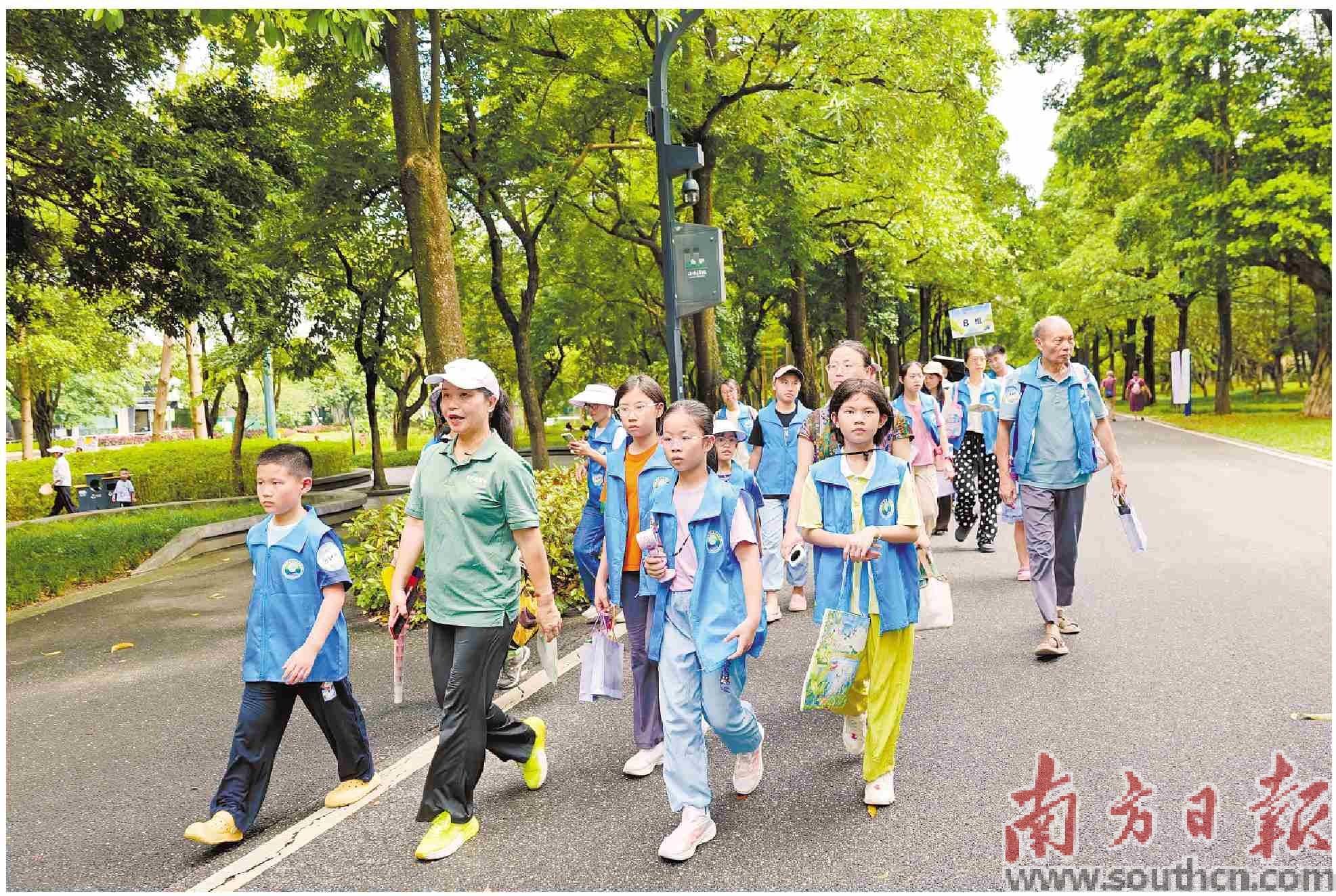 全省红树林湿地保护迈向全民共建