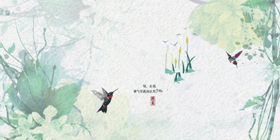 【中医话养生】节气篇——处暑：伏天消 暑将尽