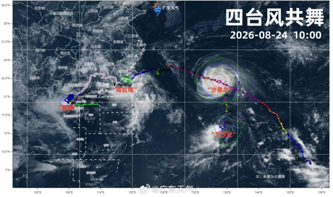 台风紫檀三登广东