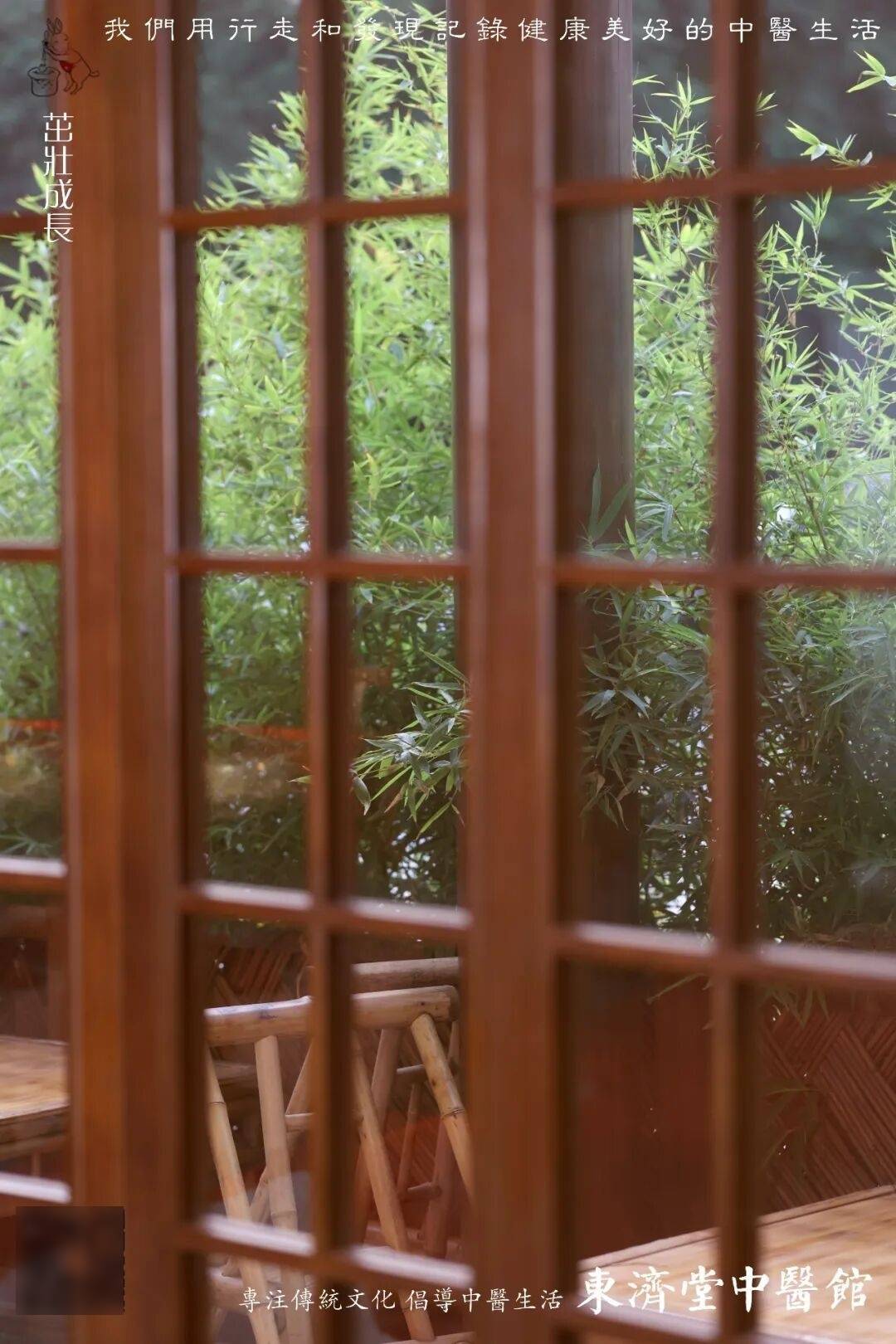 煲汤炖肉放两片它，止咳化痰，祛湿健脾，孩子少生病
