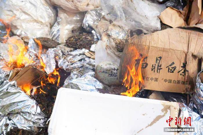 “中国白茶之乡”福鼎销毁“泡水茶”：不让一片问题叶子流入市场