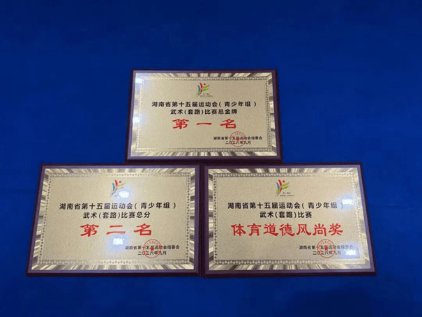 省运会传捷报！株洲武术、赛艇项目双双创佳绩