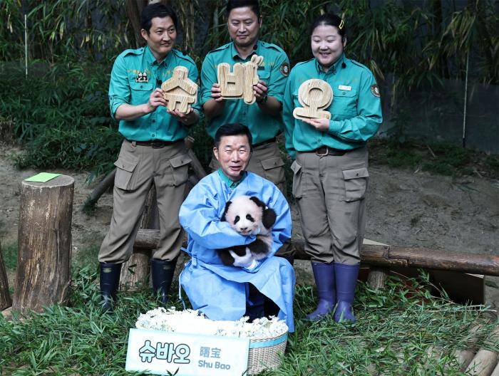 韩国爱宝乐园新生大熊猫幼崽得名“曙宝”