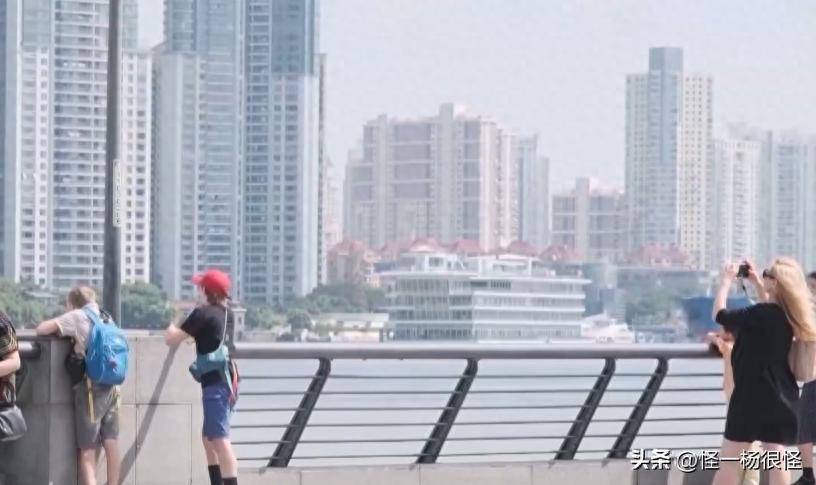 来中国旅游后，老外发出疑问：大马路上为啥还能听到鸟叫？ -华闻时空