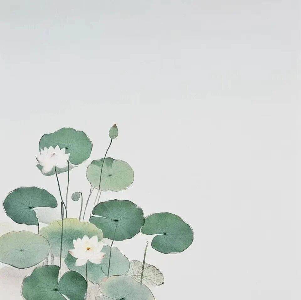 履职镜鉴 | 走不通的“快车道”_李宇程_发展_项目