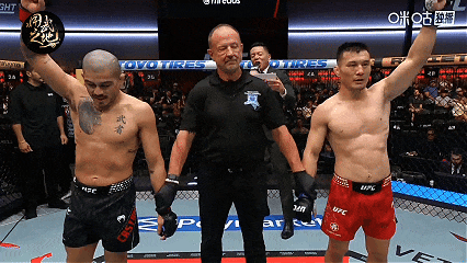 免费观看ufc比赛的软件下载