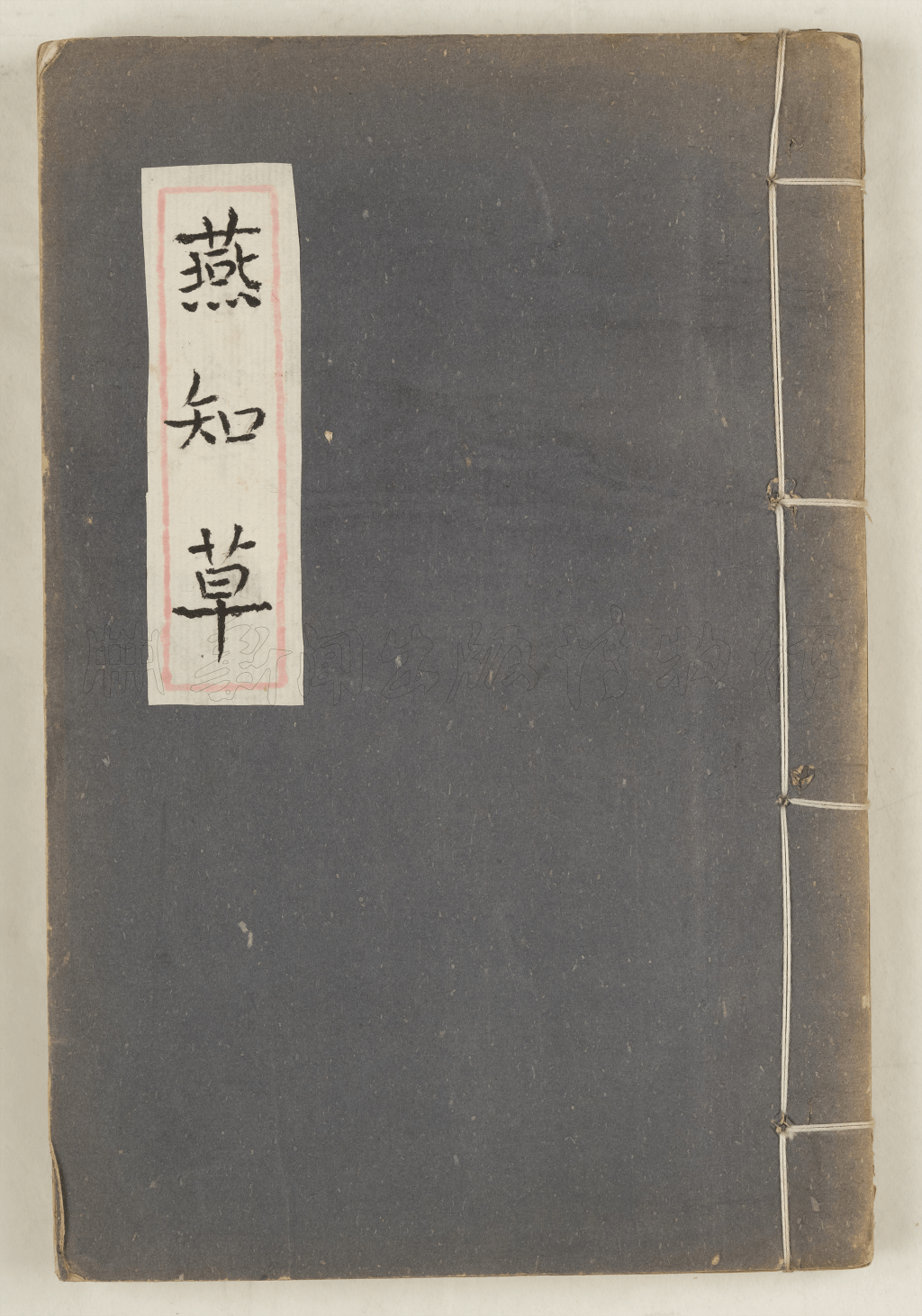 文章配图-5